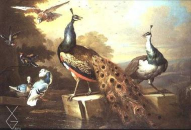 Tranh Peacock and Pea Hen in a Landscape - Tobias Stranover