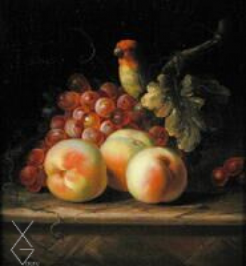 Tranh Still Life with Peaches and Grapes on a Ledge with a Parrot perched above - Tobias Stranover