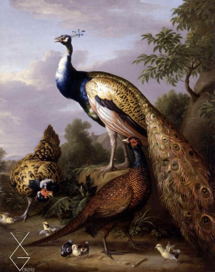 Tranh Peacock, Hen and Cock Pheasant in a Landscape XVIII - Tobias Stranover
