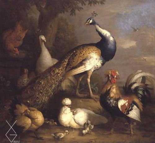 Tranh Peacock, Peahen and Poultry in a Landscape - Tobias Stranover