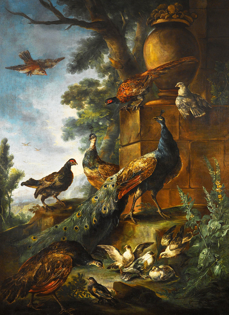 Tranh sơn dầu Khổng Tước - Peacocks and other birds in a landscape