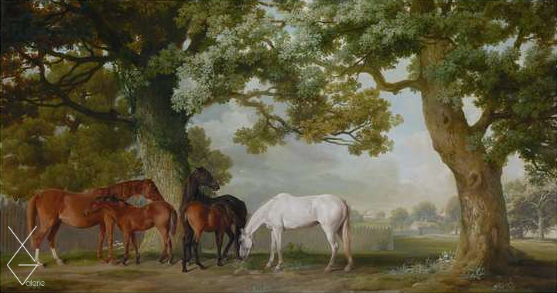 Tranh Mares and Foals Beneath Large Oak Trees - 1764-1768 - George Stubbs