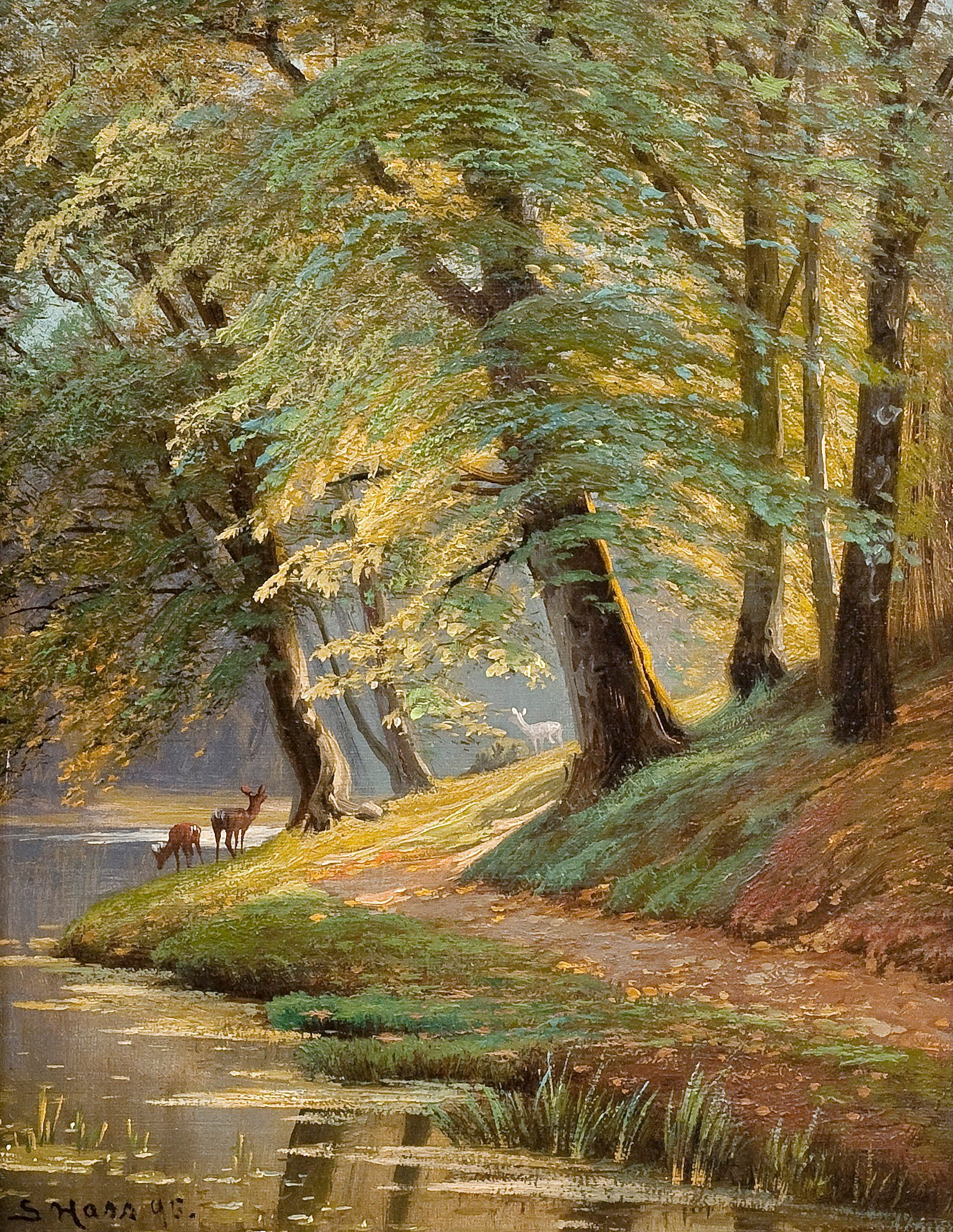 Tranh Roe deer 1895 - Siegfried Hass - 1848-1908