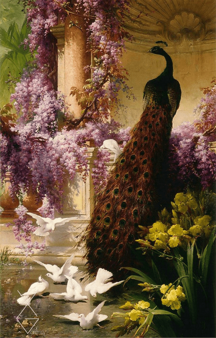Tranh A Peacock and Doves in a Garden - 1888 - Eugene Bidau